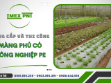 Cung cấp và thi công màng phủ cỏ nông nghiệp PE 