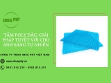 Tấm Poly Đặc - Giải Pháp Tuyệt Vời Cho Ánh Sáng Tự Nhiên