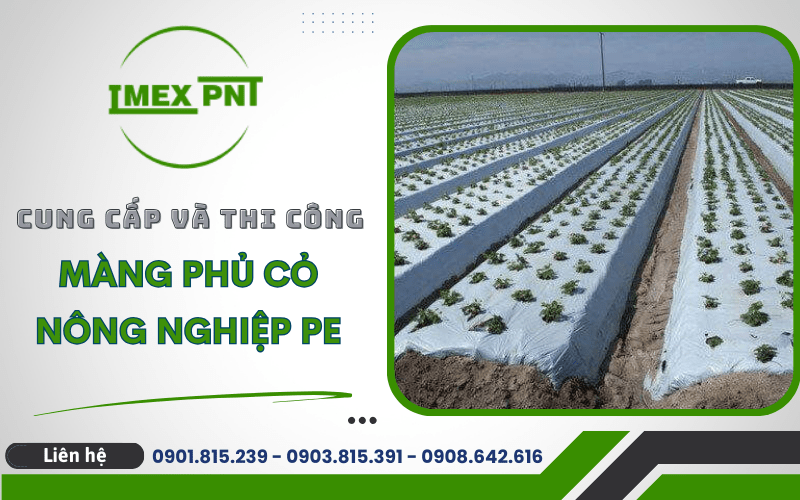 màn phủ cỏ nông nghiệp PE