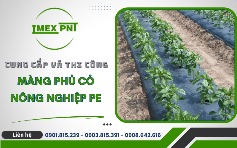 màn phủ cỏ nông nghiệp PE