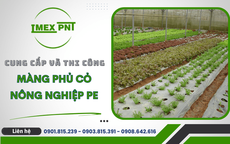 màn phủ cỏ nông nghiệp PE