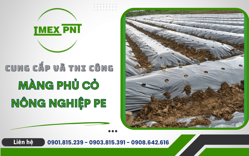 màn phủ cỏ nông nghiệp PE