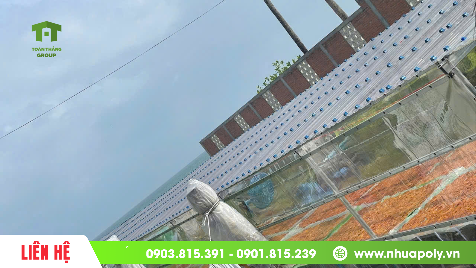 tôn sóng tròn poly solar light