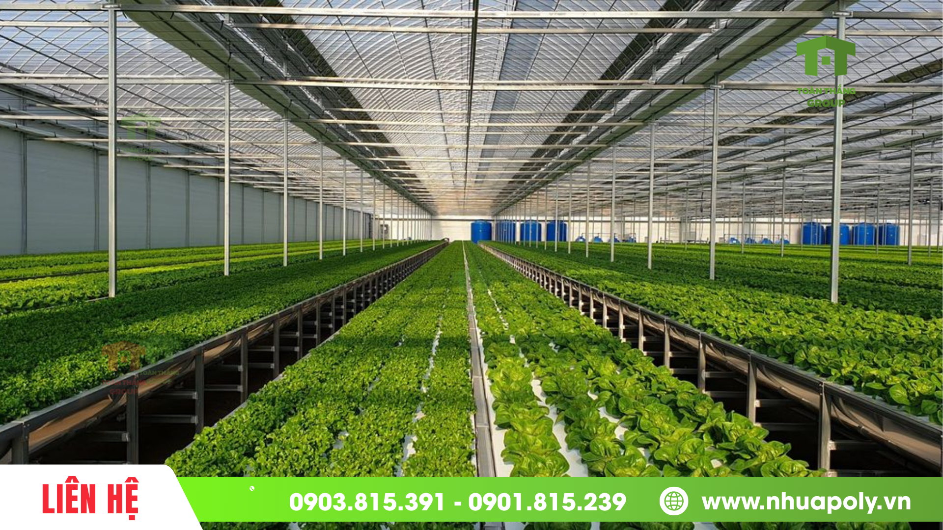 Ứng dụng tấm poly solar light rỗng 5mm trong nông nghiệp