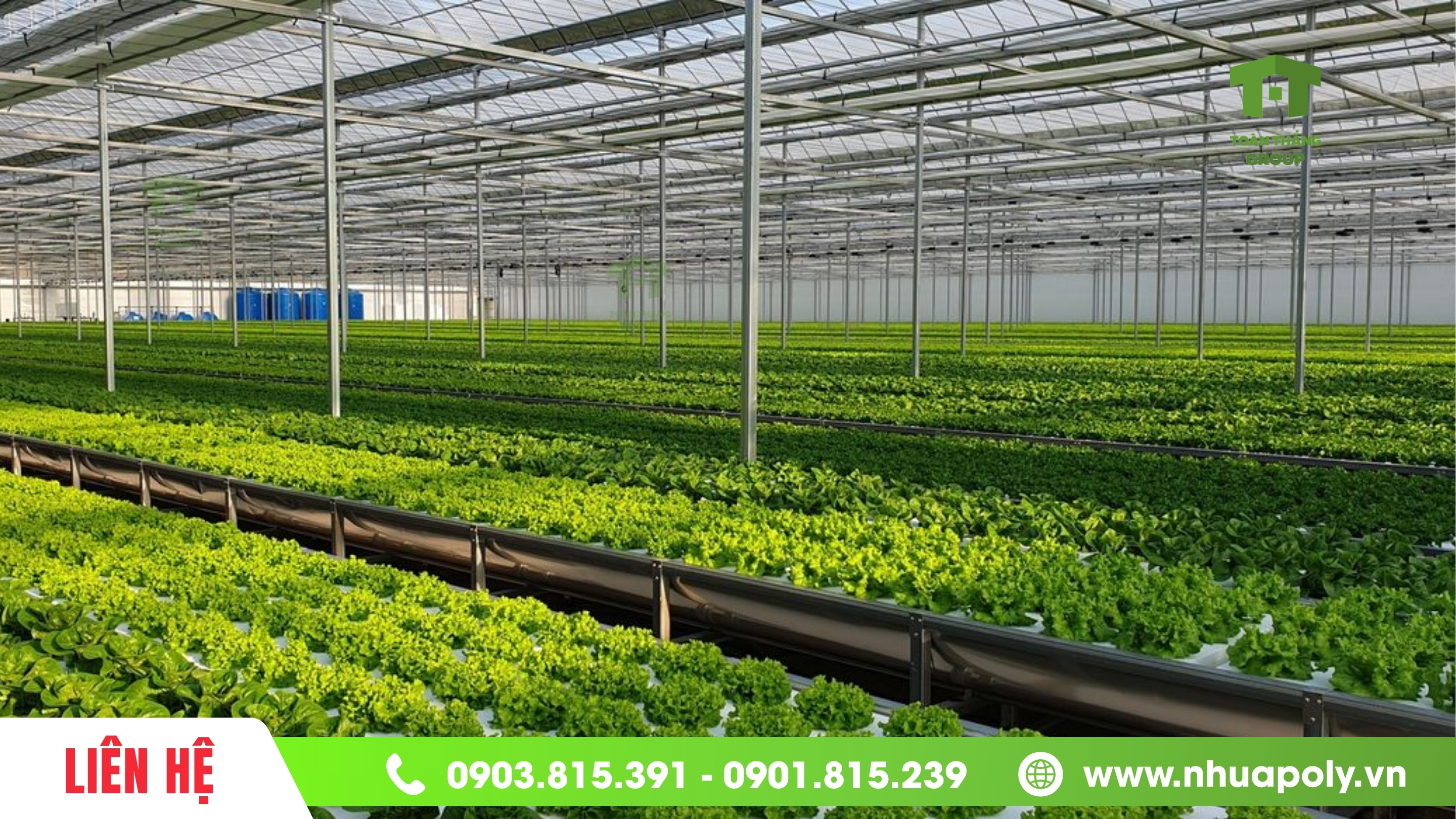 Mô hình nhà kính trồng rau sạch bằng tấm Polycarbonate hiện đại