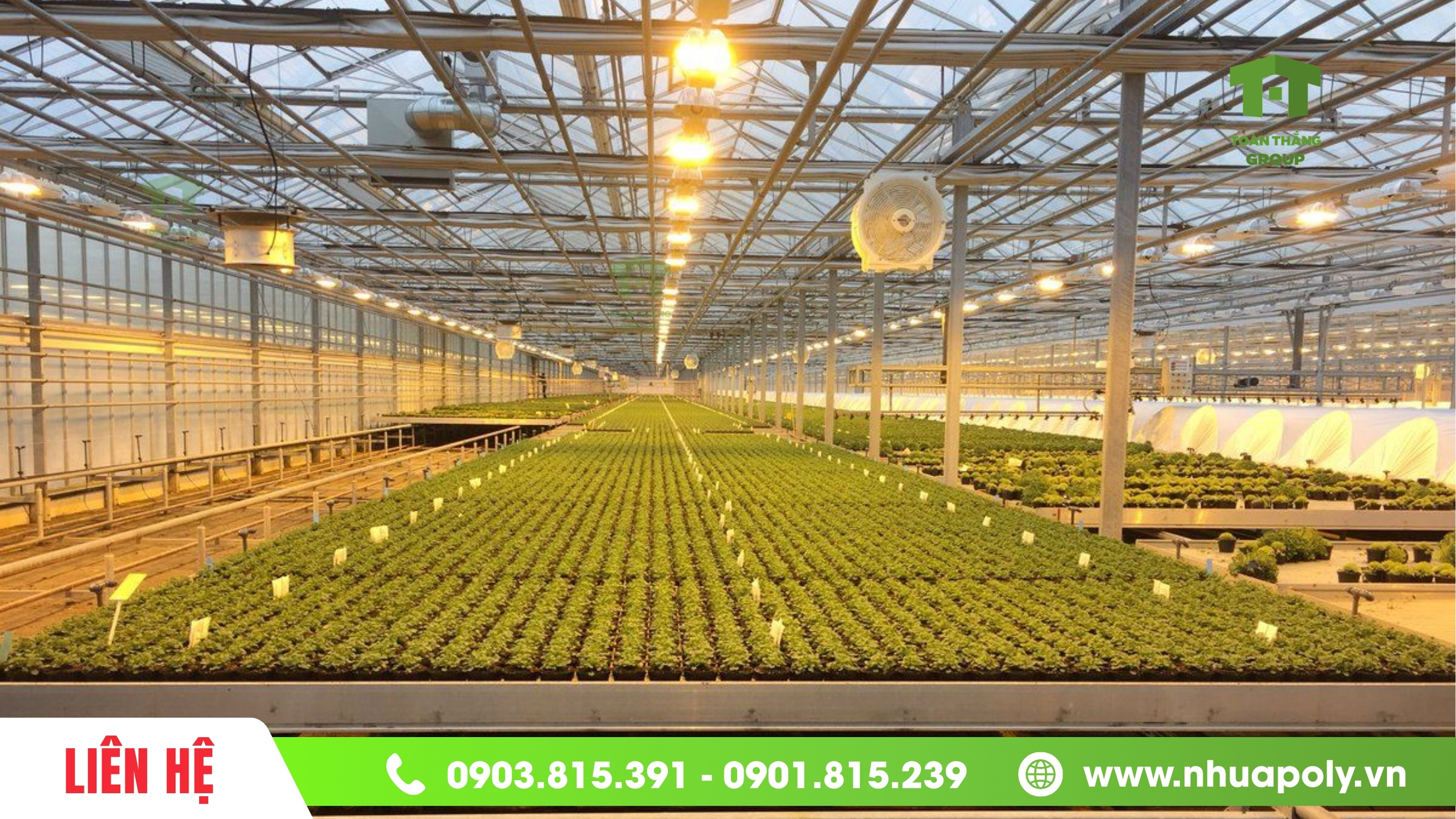 Giải pháp nhà kính trồng rau công nghệ cao bằng tấm Poly lấy sáng